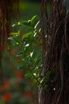 nef-DSC_6207-01