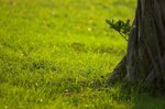 nef-DSC_6224-01
