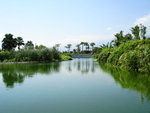 遊湖景色III
