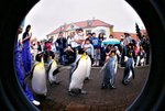 尼克斯海洋公園