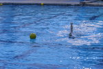 IMG_5065