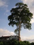 P1010585