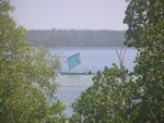 P1010591