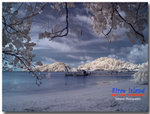Sirae Island Phuket Thailand 2007 1