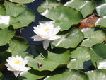 109-0944_IMG