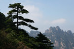 HuangShan14