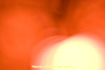 IMG_8332copy