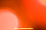 IMG_8333copy