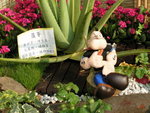 PICT0230
