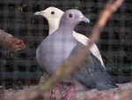 PICT0038