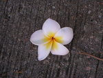 PICT0113