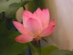 PICT0143
