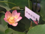 PICT0146