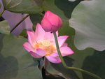 PICT0147