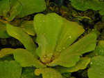PICT0152
