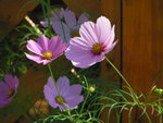 PICT0001