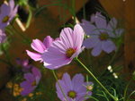 PICT0002