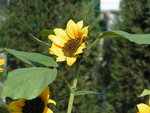 PICT0004