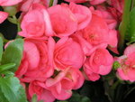 PICT0007