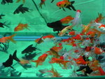PICT0012