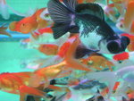 PICT0014