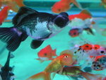 PICT0015