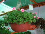 PICT0037
