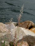 IMG_0042