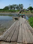 IMG_0417