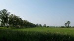 IMG_0427