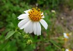 IMG_0437