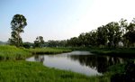 IMG_0511