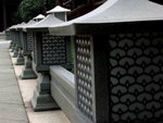 IMG_0130