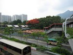 IMG_0100