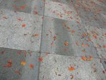 IMG_0107