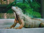 IMG_0114