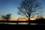DSC_0246 (6)