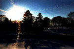 lomo1