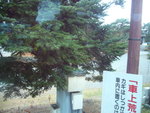 P1050830