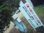 P1050831