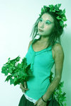 treefairy