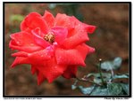 IMG_7073