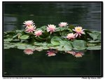 IMG_7089