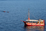 During the day there are lots of cruise boats that will take tourists to the nearby islands