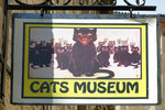 Next we passed by the Cats museum... didn't bother to pay to get in. There were more cats outside than inside