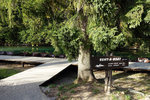 At P1, this is the place where you could rent the boat