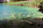 Arrived at Lake Gavanovac
