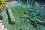 Another underwater log. Just wonder how did the logs got cut in the first place?