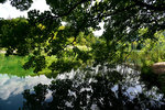 Clear and still water gives you almost perfect reflection