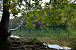 Still in Lake Galovac